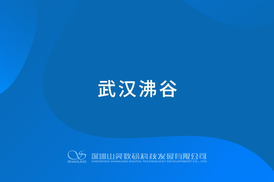武漢沸谷